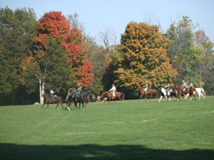 f0102814_3184121.jpg