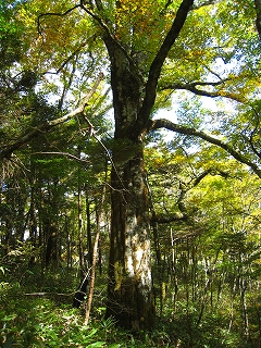 e0002820_22561459.jpg