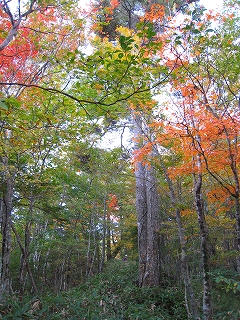 e0002820_22562351.jpg