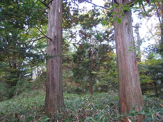 e0002820_22585564.jpg