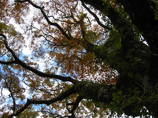 e0002820_231875.jpg