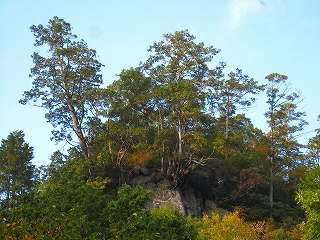 e0002820_2381760.jpg
