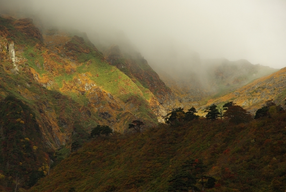 b0062024_2010576.jpg