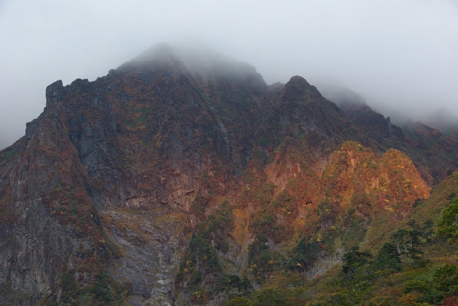 b0062024_2010664.jpg