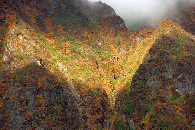 b0062024_20111215.jpg