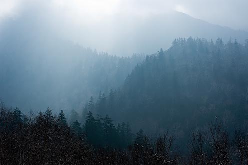 e0025030_1781475.jpg