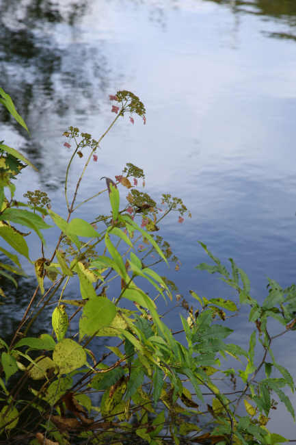 f0017530_20483246.jpg