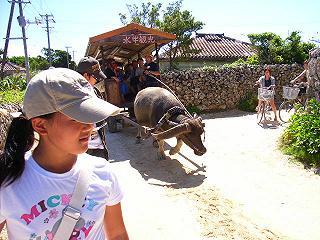 a0070831_8493156.jpg