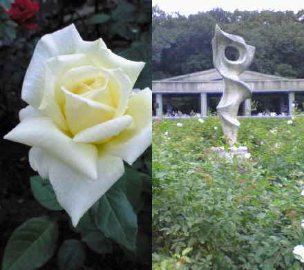 c0133533_155654.jpg