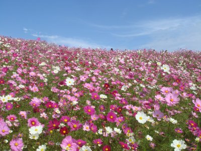c0025938_22253831.jpg