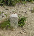 e0110940_884978.jpg