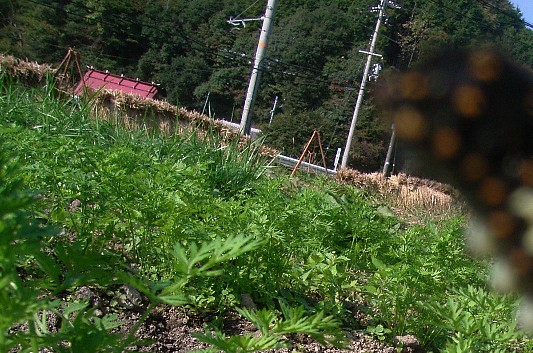 c0072843_1923375.jpg