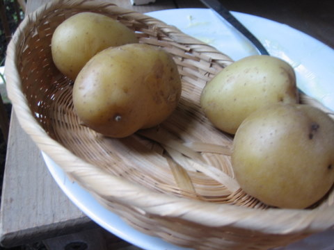 e0018143_113211.jpg