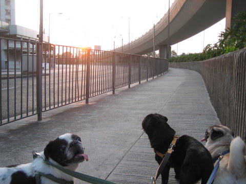 e0018143_1173469.jpg