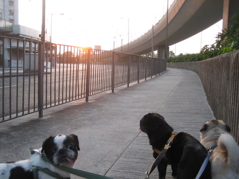e0018143_1181343.jpg