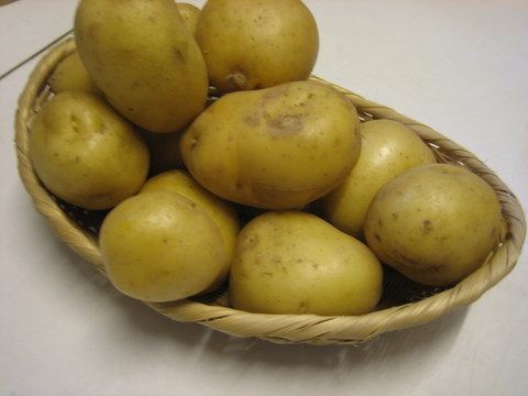 e0018143_181866.jpg