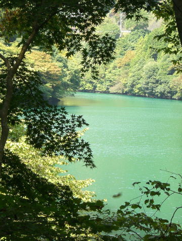 f0094843_0294142.jpg