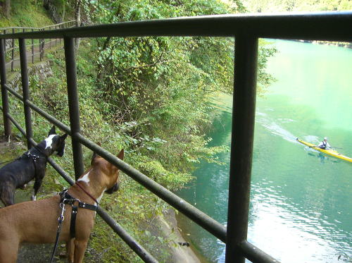 f0094843_0322552.jpg