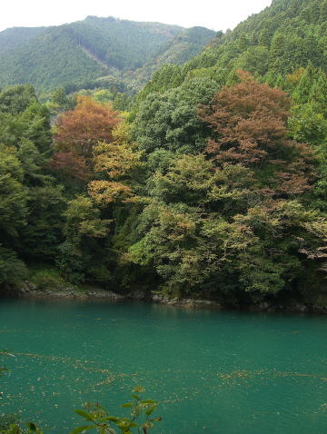 f0094843_0371443.jpg
