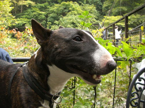 f0094843_0455860.jpg