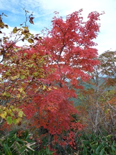 d0036951_143116.jpg