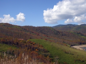 c0060452_20345344.jpg