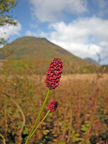 a0001354_2294534.jpg
