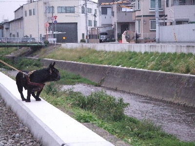 e0126054_15151991.jpg