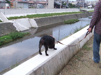 e0126054_15184235.jpg