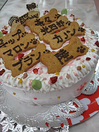 c0074156_21565556.jpg