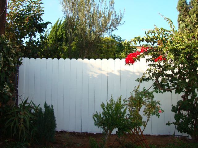 f0198556_13491774.jpg
