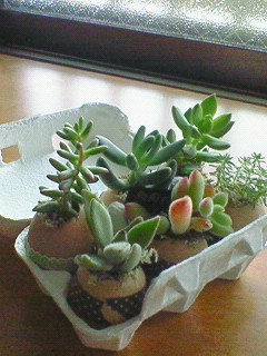 f0180166_1152391.jpg