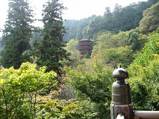 e0041168_10232957.jpg