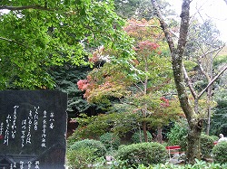 e0041168_10274638.jpg