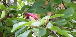 e0041168_10291019.jpg