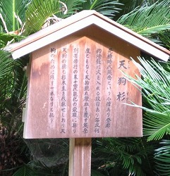 e0041168_10332243.jpg