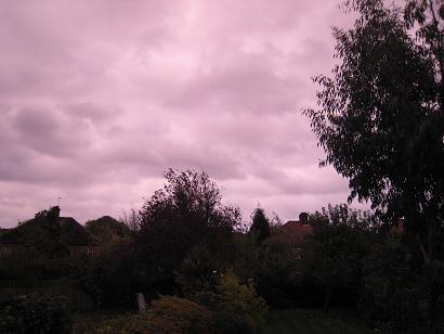 d0046772_4123348.jpg
