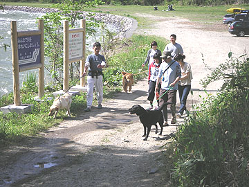 f0161874_1824552.jpg