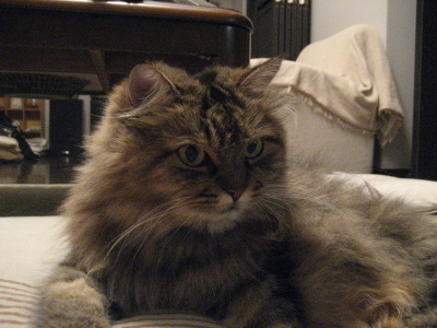 f0183274_20333745.jpg
