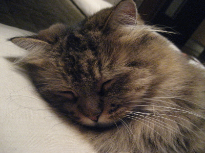 f0183274_2035060.jpg
