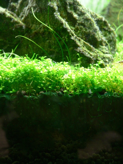 e0112379_18132346.jpg