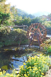 a0062983_16474811.jpg