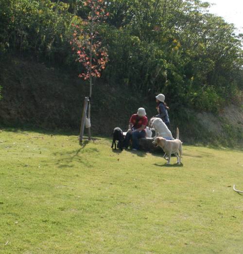 e0081584_2256961.jpg