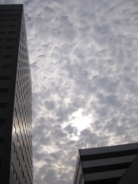 f0164989_22535934.jpg