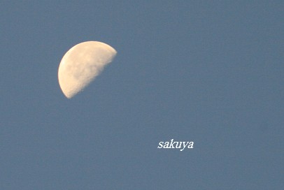 e0122194_20345461.jpg