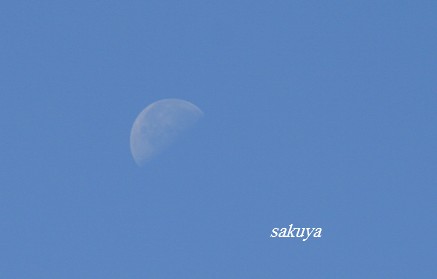 e0122194_205248100.jpg