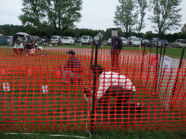 c0044199_2391634.jpg