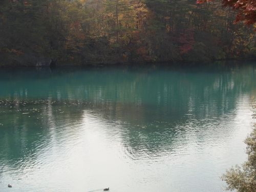 c0007502_16544118.jpg
