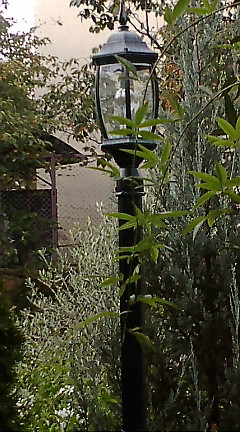 c0152002_18241180.jpg