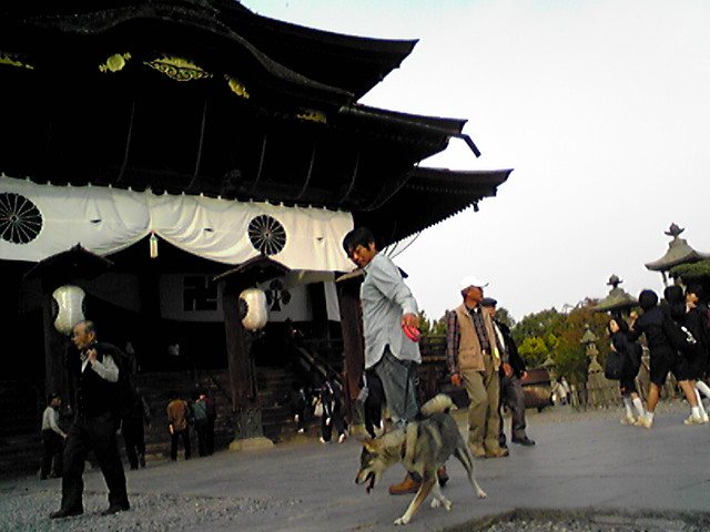 f0079202_1944464.jpg